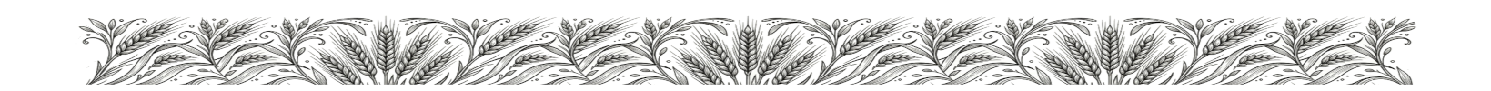 divider